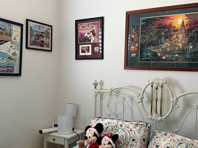 Disney Parks